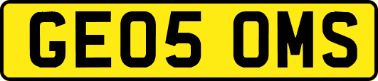 GE05OMS