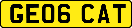 GE06CAT