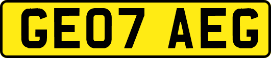 GE07AEG
