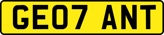 GE07ANT