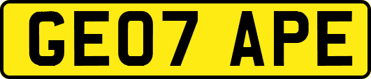 GE07APE