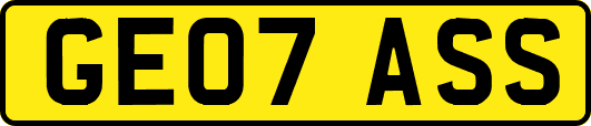 GE07ASS