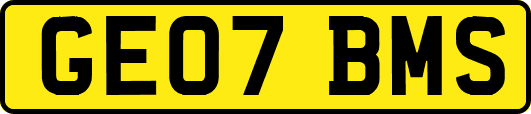 GE07BMS