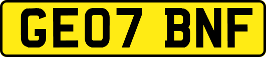 GE07BNF