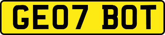 GE07BOT