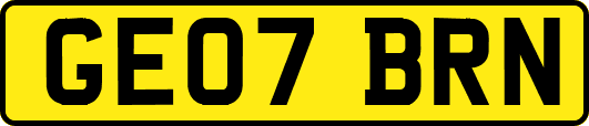 GE07BRN
