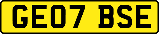 GE07BSE
