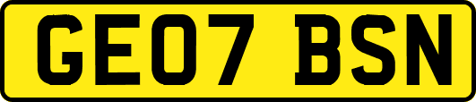 GE07BSN
