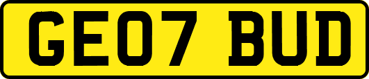 GE07BUD