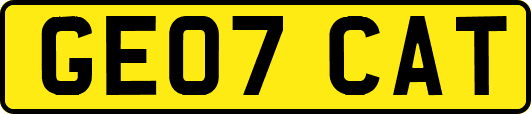 GE07CAT