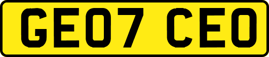 GE07CEO