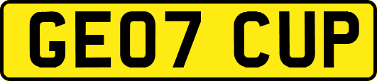 GE07CUP