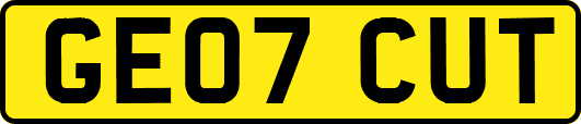 GE07CUT