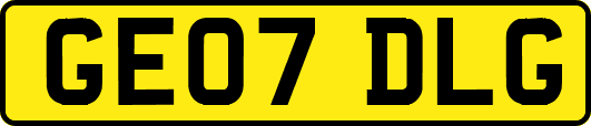 GE07DLG