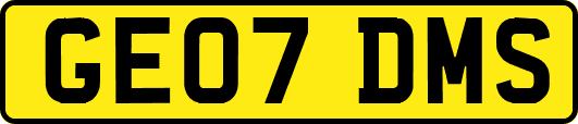 GE07DMS