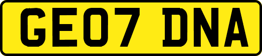 GE07DNA