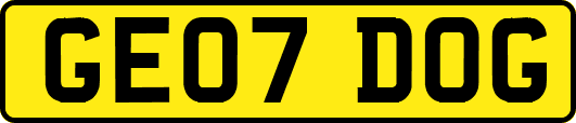 GE07DOG