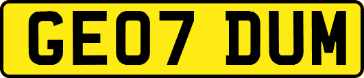 GE07DUM