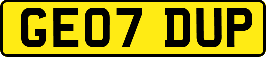 GE07DUP