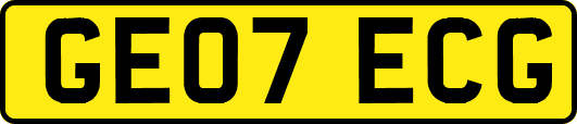 GE07ECG