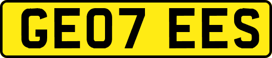 GE07EES