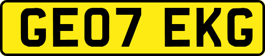 GE07EKG