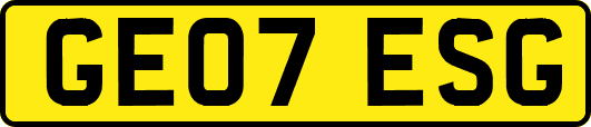 GE07ESG