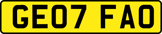 GE07FAO