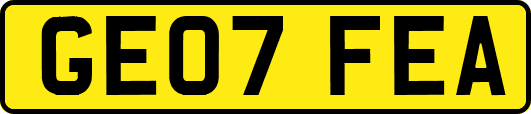 GE07FEA