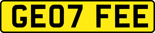 GE07FEE
