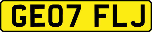 GE07FLJ