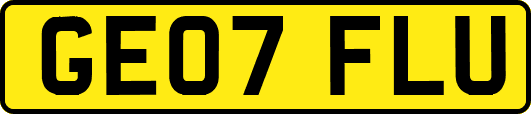 GE07FLU