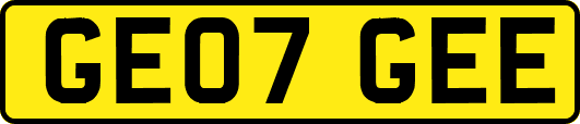GE07GEE
