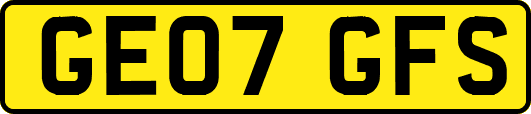 GE07GFS