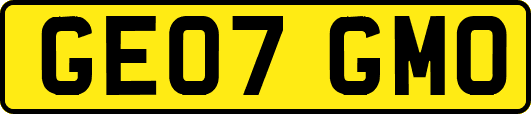 GE07GMO