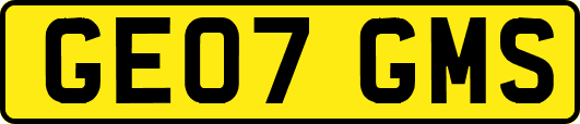 GE07GMS
