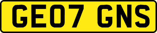 GE07GNS