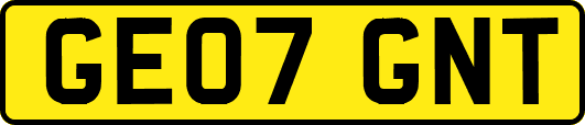 GE07GNT