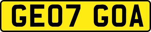 GE07GOA