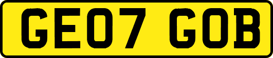 GE07GOB