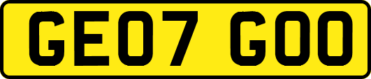 GE07GOO