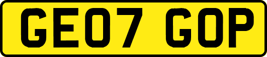 GE07GOP