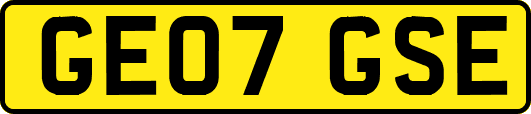 GE07GSE