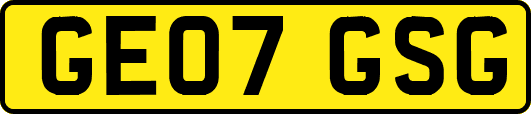 GE07GSG