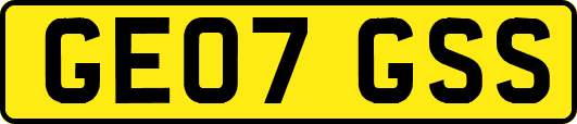 GE07GSS