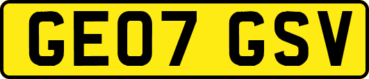 GE07GSV