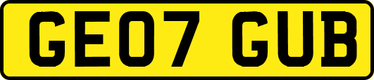 GE07GUB