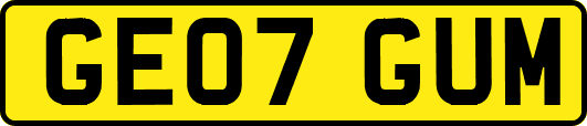 GE07GUM