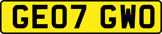 GE07GWO