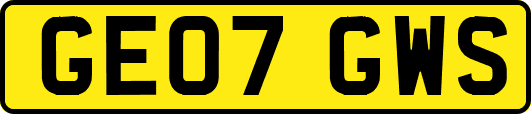 GE07GWS